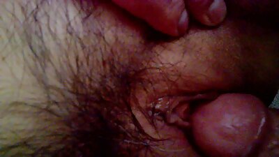 மேதாவி