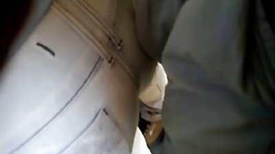 நிகழ்ச்சிகள்